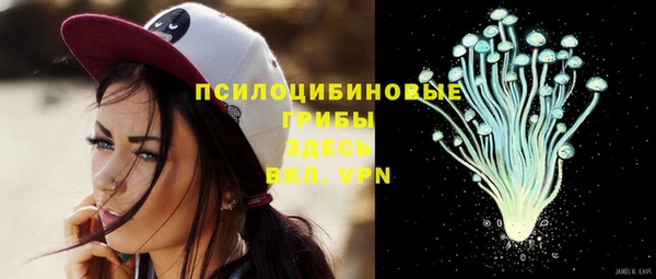 гидра Вяземский