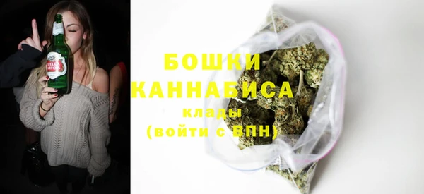 гидра Вяземский