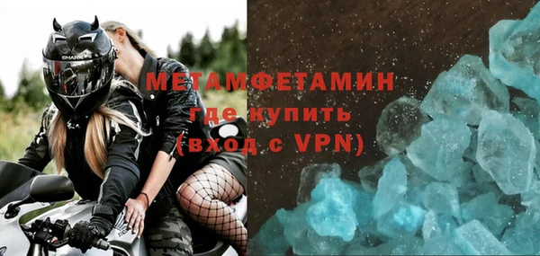 гидра Вяземский