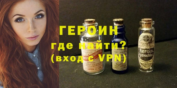 гидра Вяземский