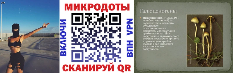 Псилоцибиновые грибы Magic Shrooms  где купить наркоту  Урень 